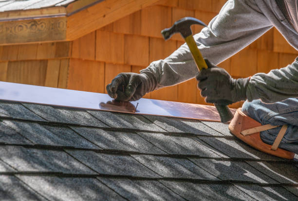 Best Sheet Metal Roofing  in Warrenton, MO