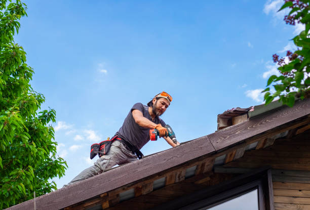 Best Siding  in Warrenton, MO